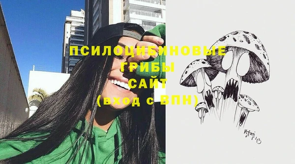 PSILOCYBIN Арсеньев