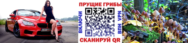 блэк спрут зеркало  Буй  Псилоцибиновые грибы ЛСД 